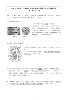 解剖生理（PDF：372KB）