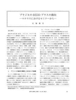 ブラジルの REDD プラスの動向