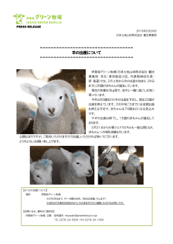 2015-02-26 羊の出産について