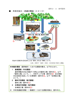 参考資料 木材の加工・流通の構造（イメージ）