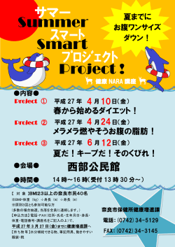 Summer Smart Project