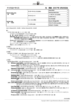 マイネルナタリス 牡 黒鹿 2007年 2月28日生