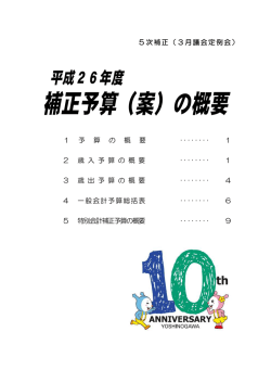 補正予算（案）の概要