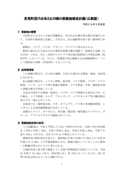 概要版（PDF：2838KB）
