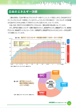 日本のエネルギー消費