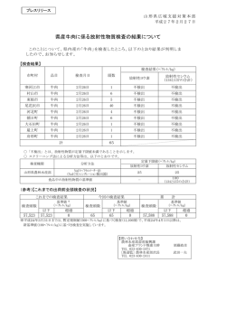 プレスリリース資料 (PDF documentファイル サイズ： 70Kb)