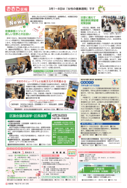 区議会議員選挙・区長選挙