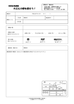 調査票2（記入様式）(PDF文書)