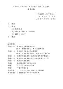 フリースタール等に関する検討会議 (第2回) 議事次第