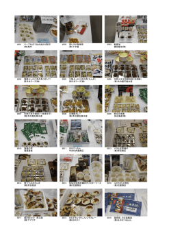 写真で見る [PDFファイル／942KB]