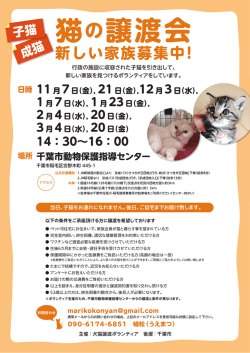 新しい家族募集中!