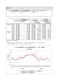 消費 [PDFファイル／495KB]