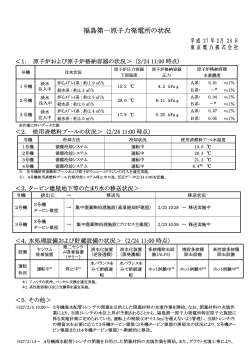 福島第一原子力発電所の状況（記者会見資料）（PDF 162KB）