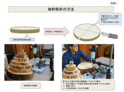 （樹幹解析方法、樹幹解析年輪盤写真）（PDF：140KB）
