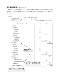 貸借対照表作成例(PDF文書)