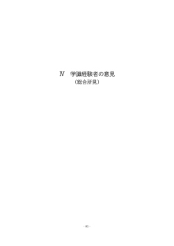 学識経験者の意見（総合所見）（PDF：114KB）