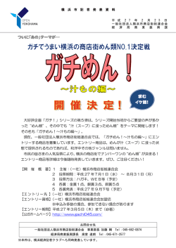 記者発表資料（PDF形式、315KB）