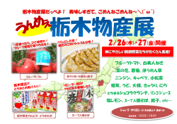 2月26日～27日 栃木物産展を開催します