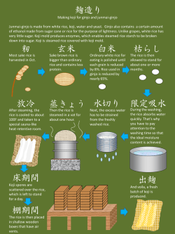 Making koji for ginjo and junmai