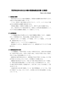 概要版（PDF：396KB）