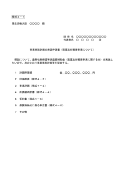 様式4－1 厚生労働大臣 殿 団 体 名 代表者名