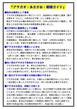 アサガオの簡単な解説（ガイド）（PDF：122KB）