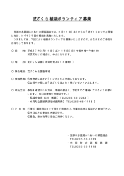 芝ざくら植栽ボランティア募集