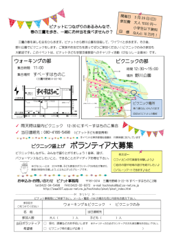 ピクニック盛上げ ボランティア大募集 - So-net