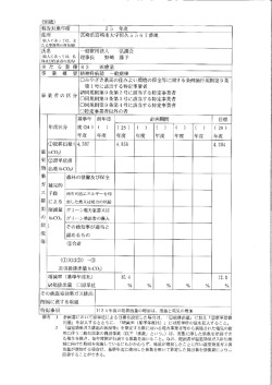 25報告書（PDFファイル：91KB）