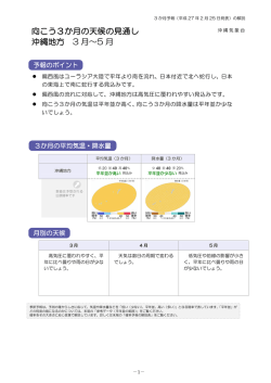 解説資料（PDF形式：483KB）
