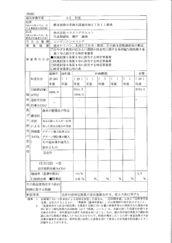 25報告書（PDFファイル：94KB）