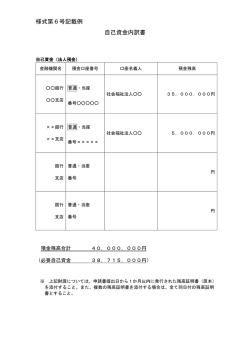 様式第6号記載例 自己資金内訳書