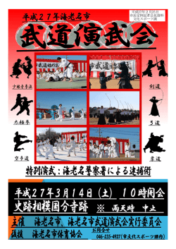平成27年2月26日 市長定例記者会見資料 文化スポーツ課 25