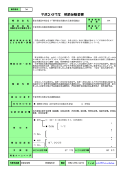 概要書（PDF：94KB）
