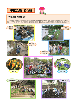 千葉公園 花の輪