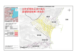 （新ん1001）（PDF：785KB）