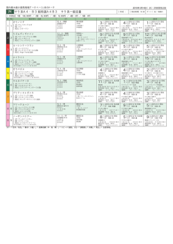 サラ系A4・B3組特選A4B3 サラ系一般定量