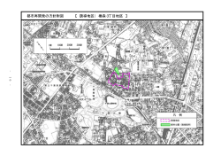 都市再開発の方針附図 【 （誘導地区） 椿森3丁目地区 】