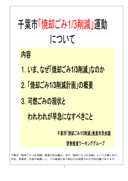 千葉市「焼却ごみ1/3削減」運動 について