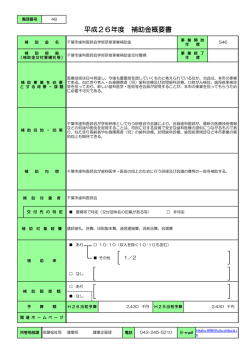 概要書（PDF：97KB）