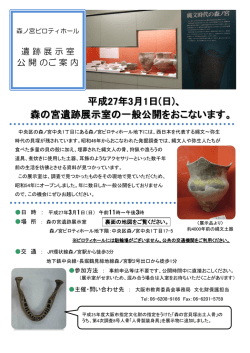 森の宮遺跡展示室 一般公開チラシ