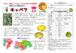 「キャベツと高野豆腐の五目煮」（PDF：341KB）