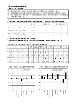 結果の概要 (PDFファイル)