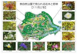 上旬（PDF：218KB）