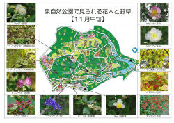 中旬（PDF：210KB）