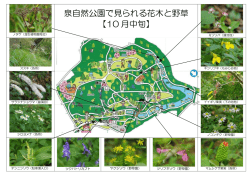 中旬（PDF：205KB）