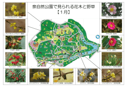 ロウバイの場所（PDF：190KB）