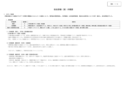 資料1-3 総合評価（案）の概要（PDF：1431KB）