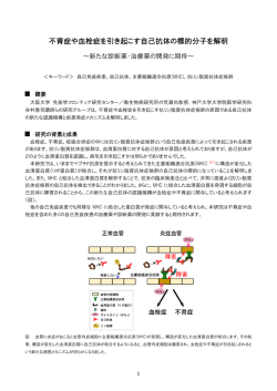 荒瀬 Blood 解説_20150303