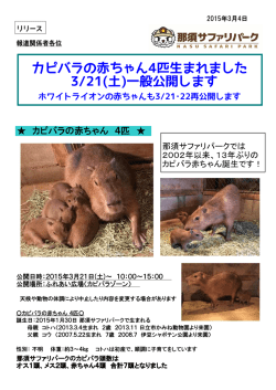 リリース全文